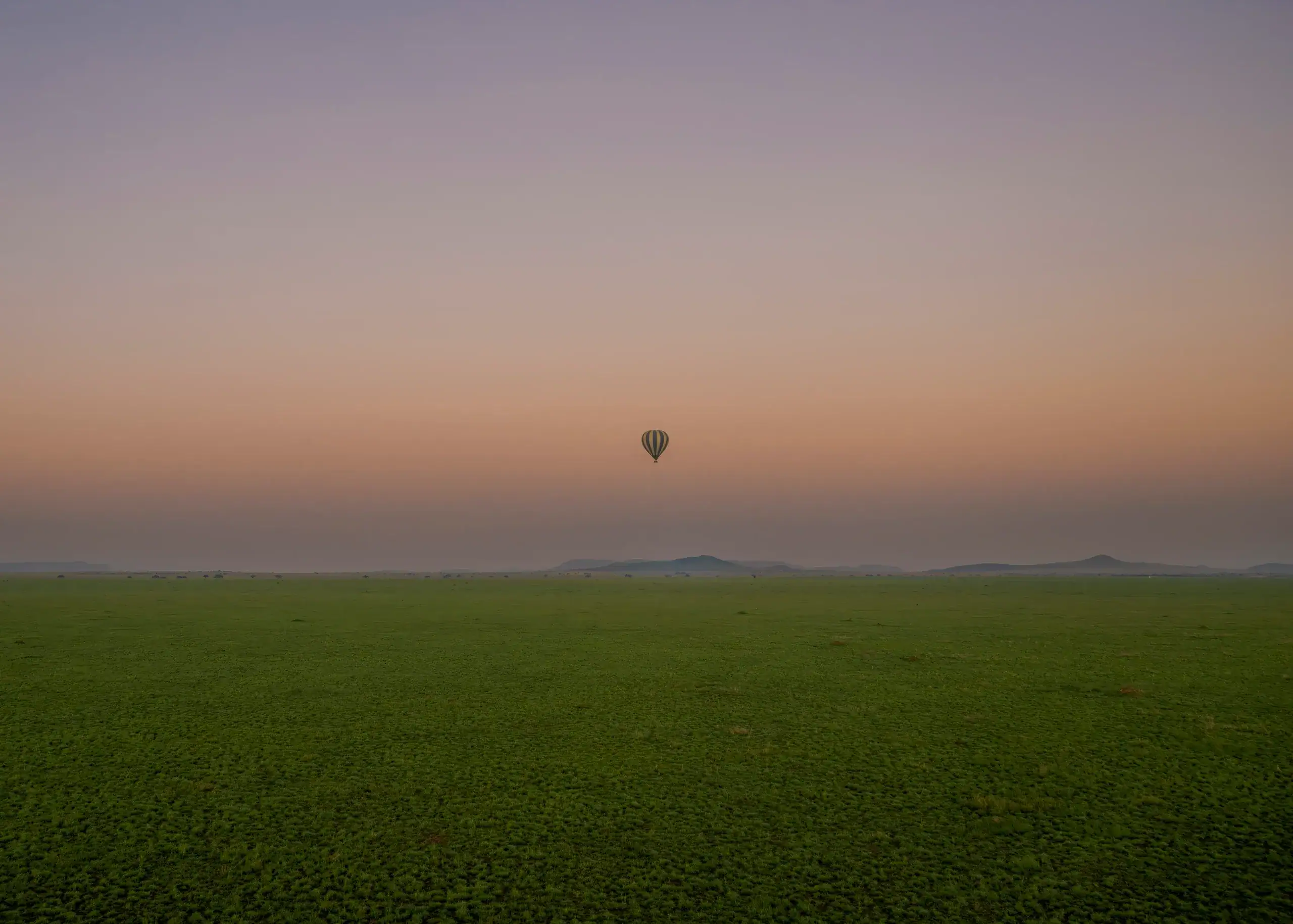 Conservation landscape