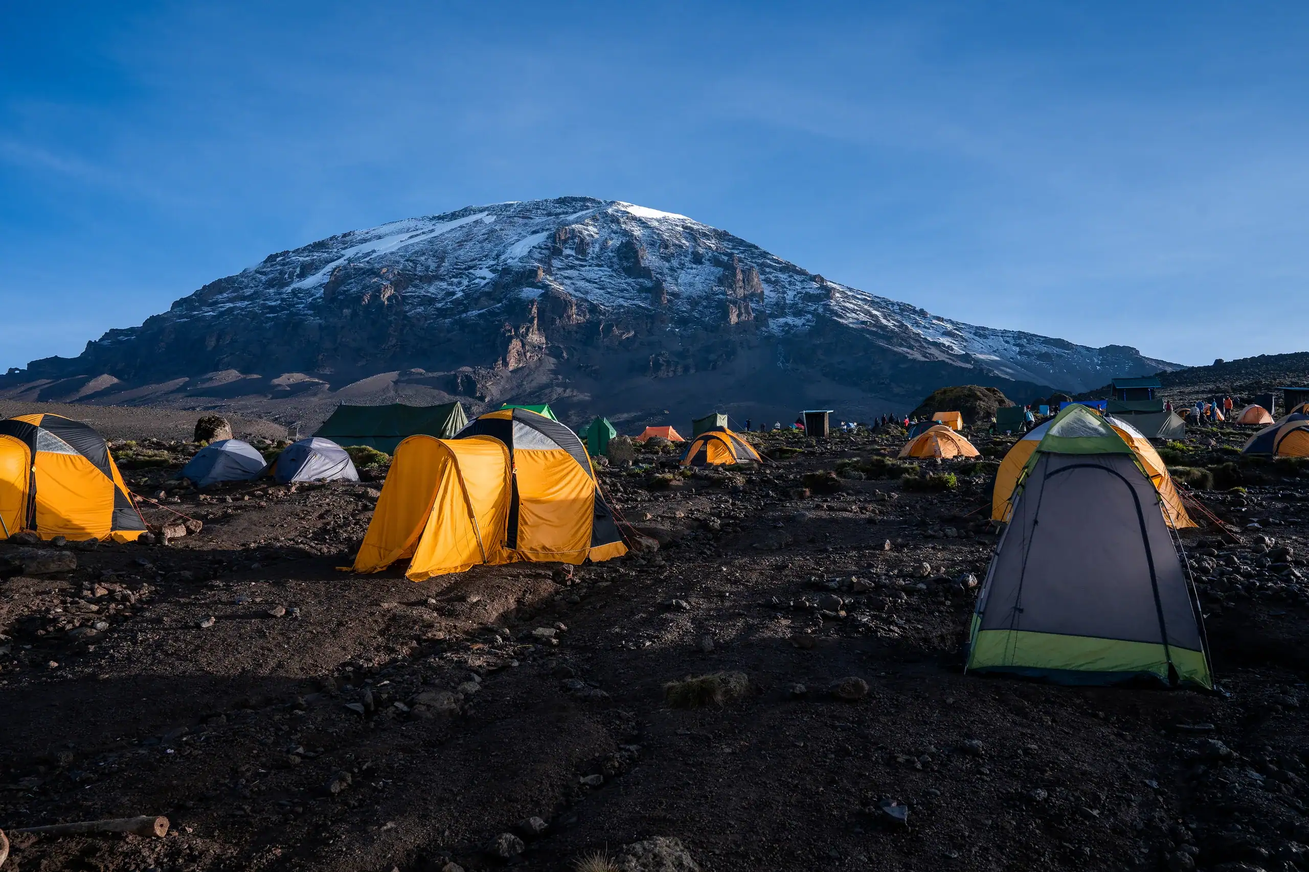 Climbers' tents in morning light below Kilimanjaro's snowy Kibo peak