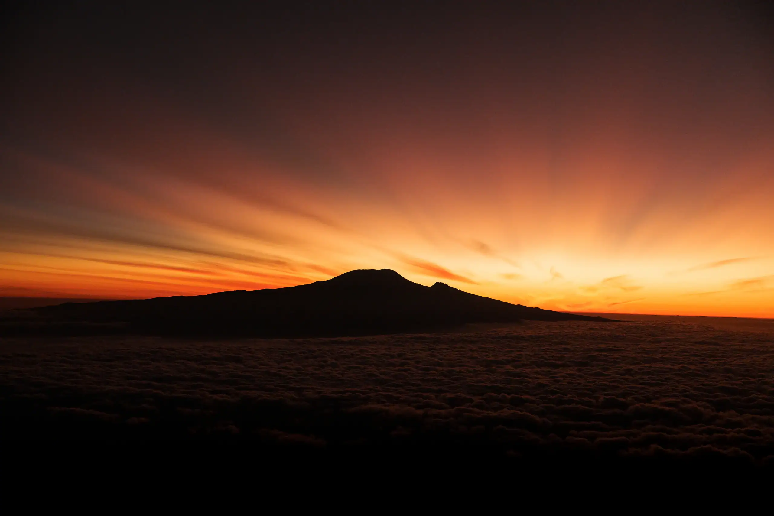 Kilimanjaro silhouetted against an orange sunrise above a sea of clouds